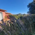 A Vigna Vecchia - 3 Pieces Sud Vecchio Порто-Веккьо