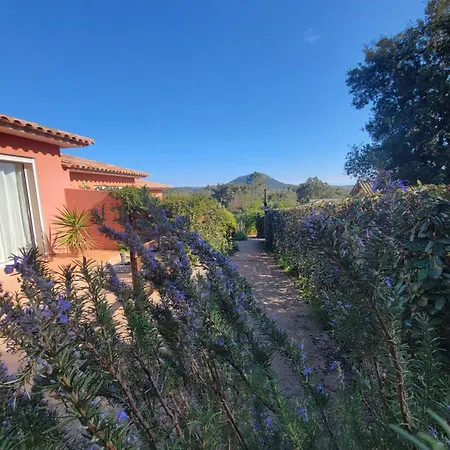 A Vigna Vecchia - 3 Pieces Sud Vecchio 포르토베쉬오