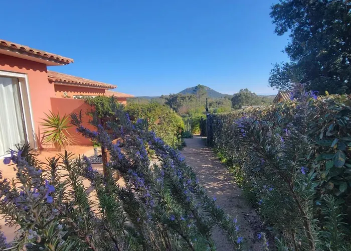 A Vigna Vecchia - 3 Pieces Sud Vecchio Porto-Vecchio (Corsica)