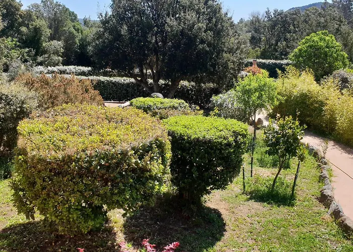 A Vigna Vecchia - 3 Pieces Sud Vecchio Bed & Breakfast Porto-Vecchio (Corsica)